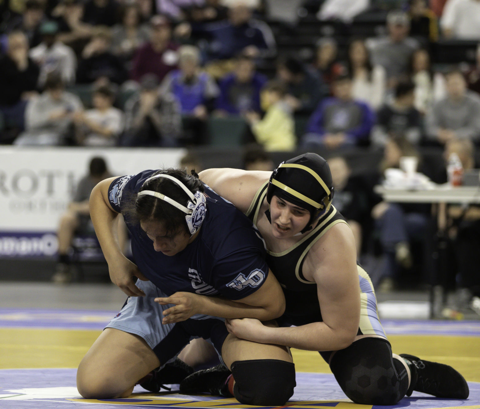 spt_wrestling